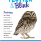 Flutter & Blink