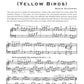 Yellow Birds from The Ostinato Project